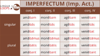 Lingua Loops Latin Conjugation And Declension Songs